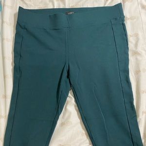 Ann Taylor Loft fitted crop pants